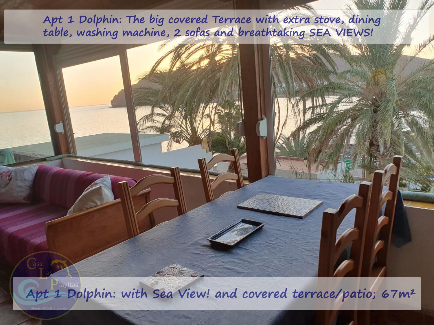 Casa Las Playitas -Clp- Best Sea View - In 1 Minute Ocean Las Playas エクステリア 写真