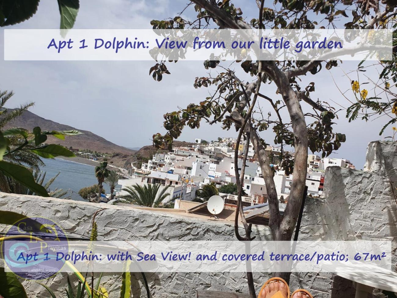 Casa Las Playitas -Clp- Best Sea View - In 1 Minute Ocean Las Playas エクステリア 写真