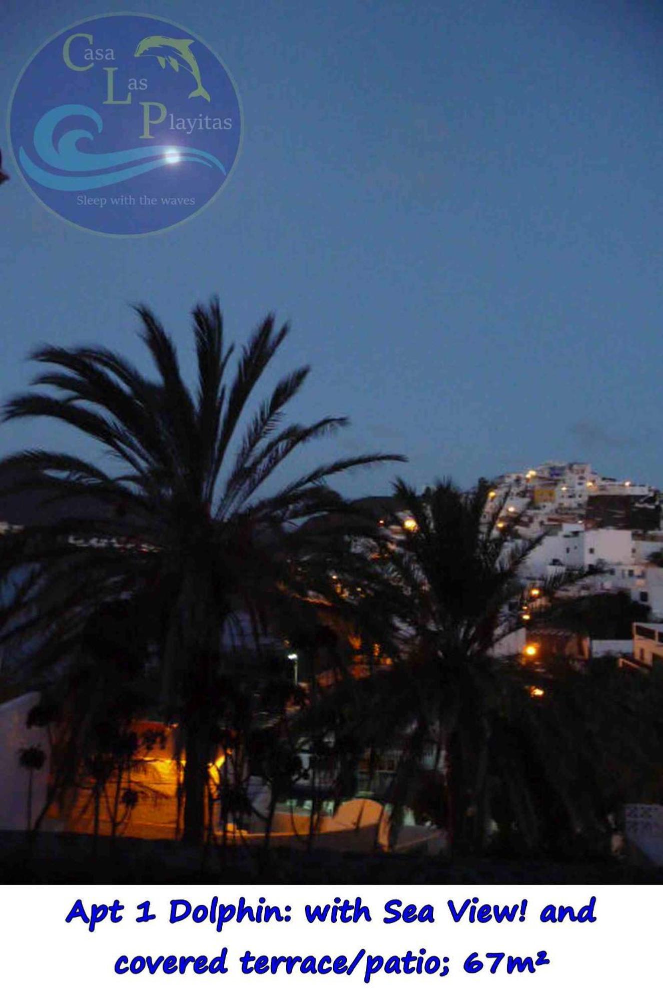 Casa Las Playitas -Clp- Best Sea View - In 1 Minute Ocean Las Playas エクステリア 写真