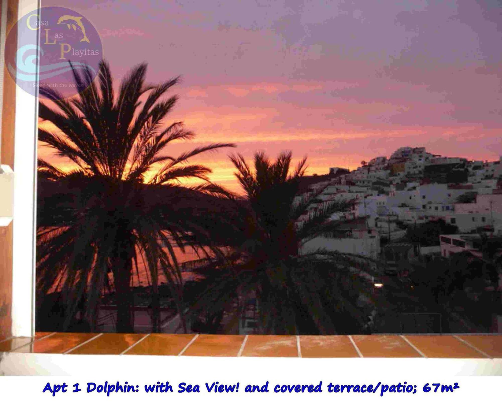 Casa Las Playitas -Clp- Best Sea View - In 1 Minute Ocean Las Playas エクステリア 写真