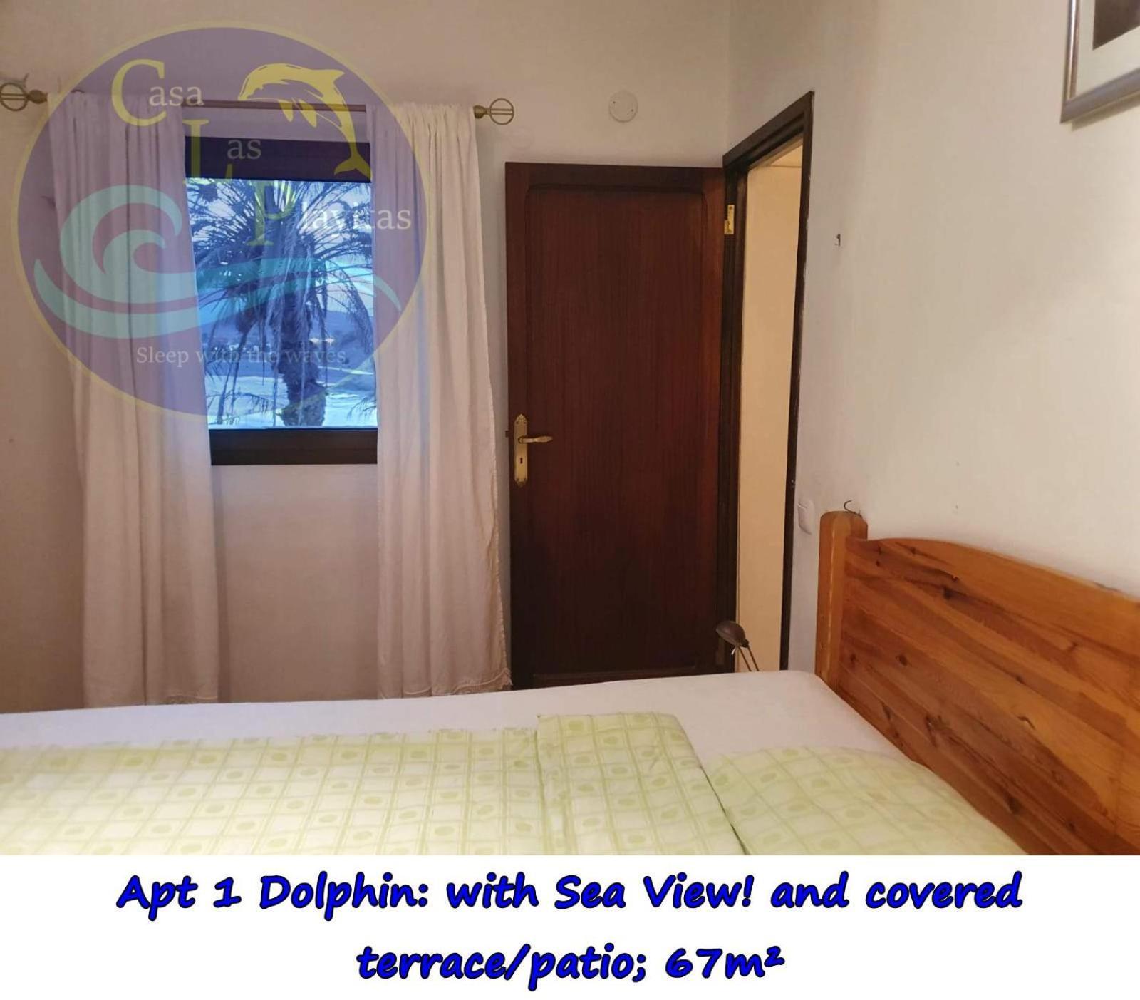 Casa Las Playitas -Clp- Best Sea View - In 1 Minute Ocean Las Playas エクステリア 写真