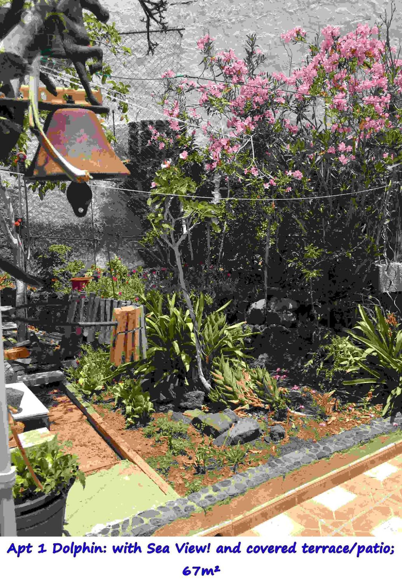 Casa Las Playitas -Clp- Best Sea View - In 1 Minute Ocean Las Playas エクステリア 写真