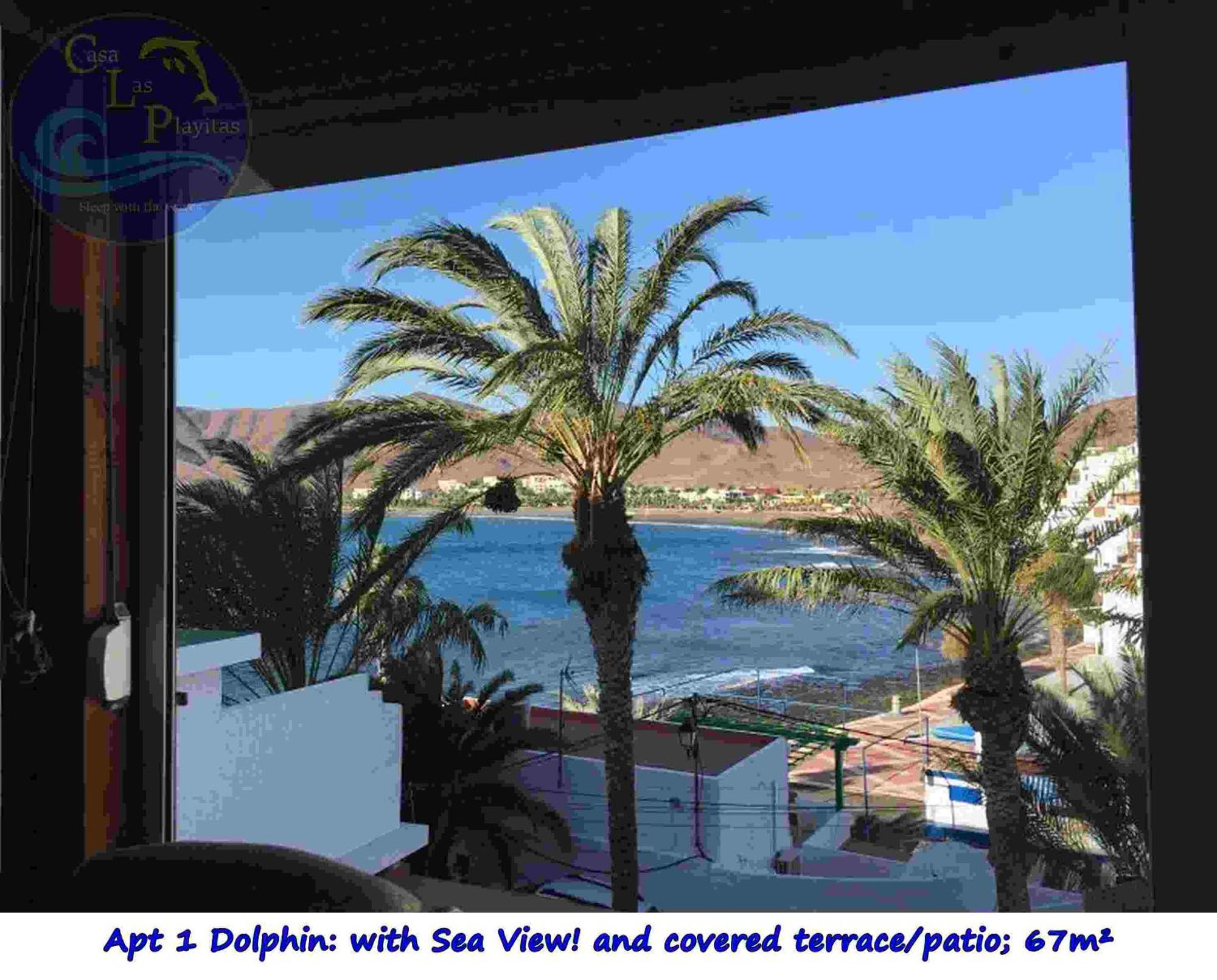 Casa Las Playitas -Clp- Best Sea View - In 1 Minute Ocean Las Playas エクステリア 写真
