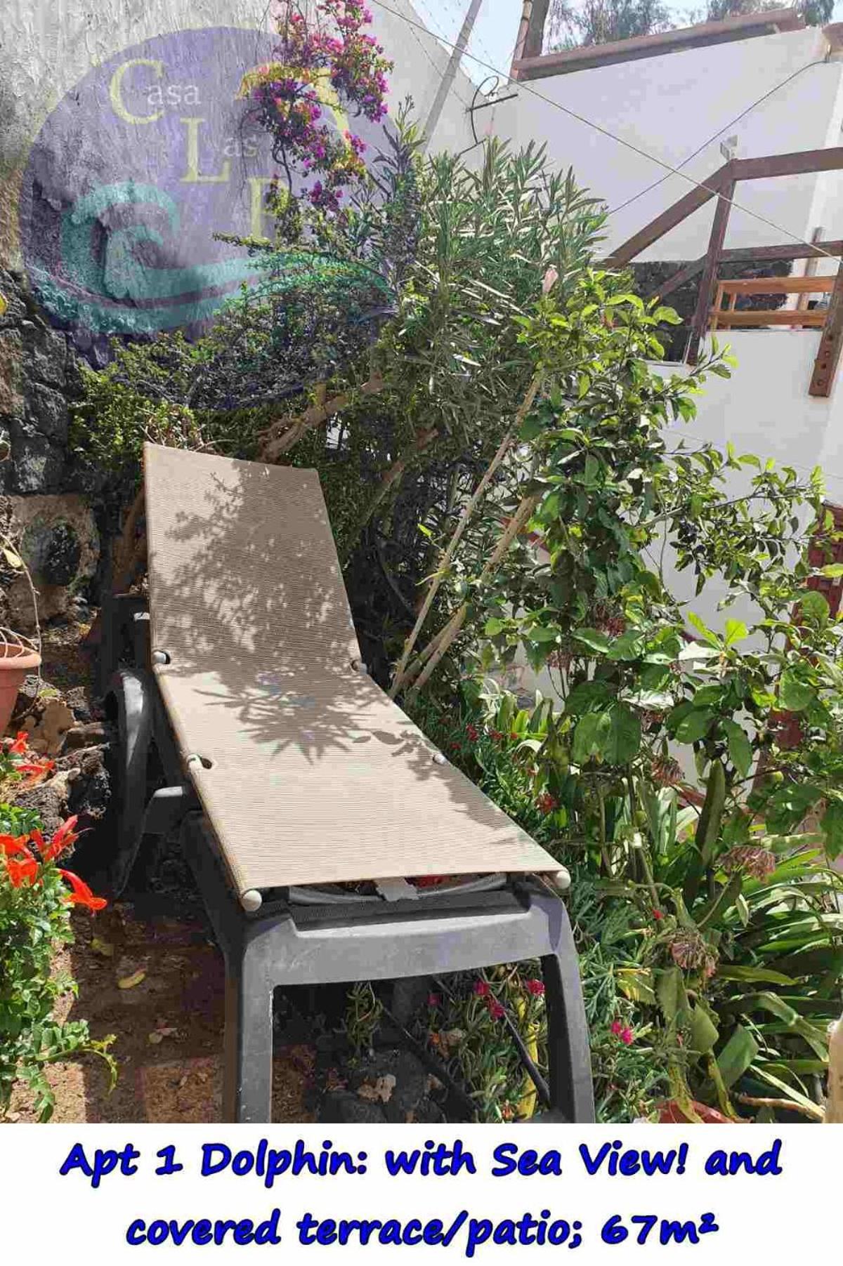 Casa Las Playitas -Clp- Best Sea View - In 1 Minute Ocean Las Playas エクステリア 写真