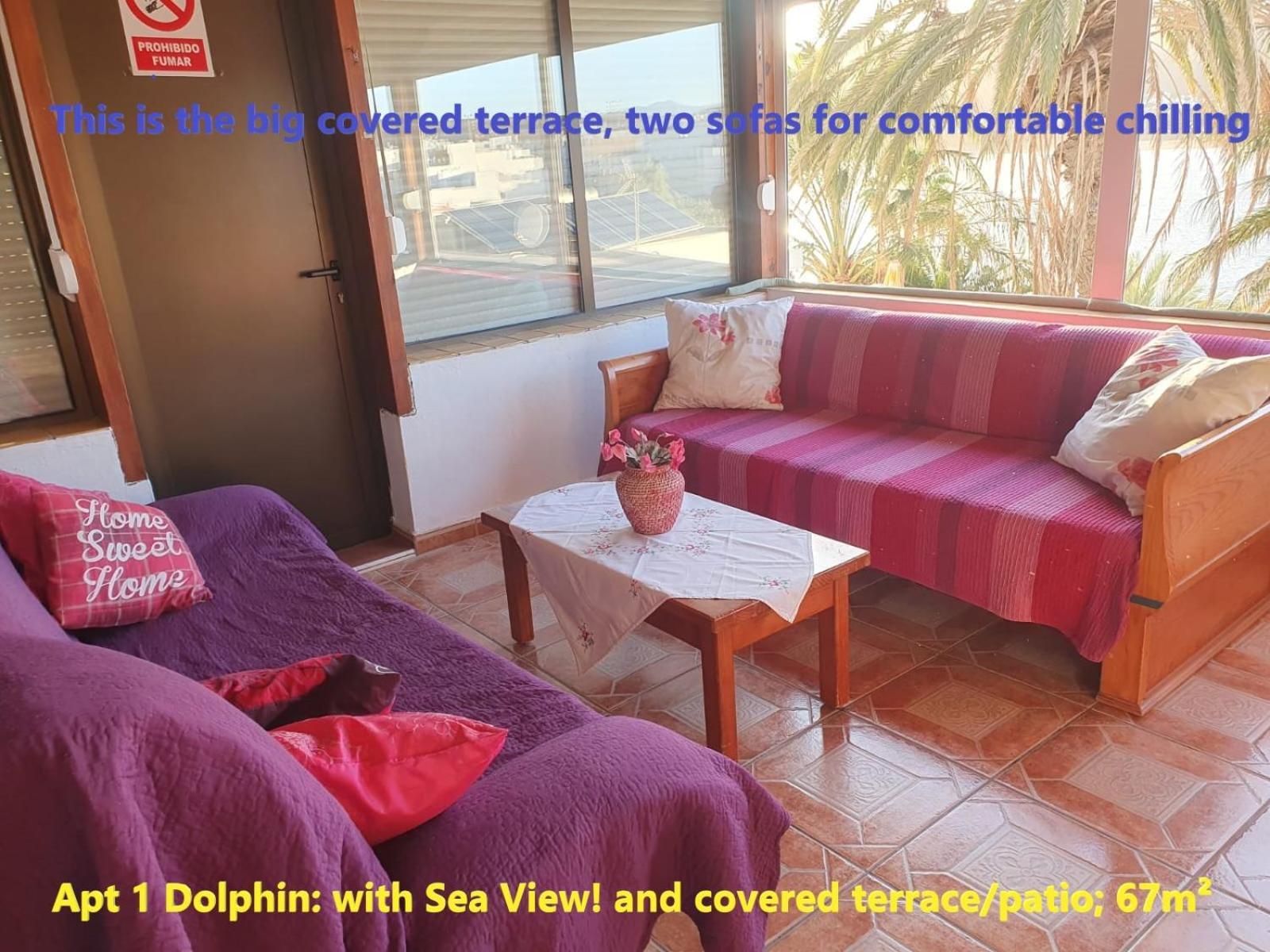Casa Las Playitas -Clp- Best Sea View - In 1 Minute Ocean Las Playas エクステリア 写真