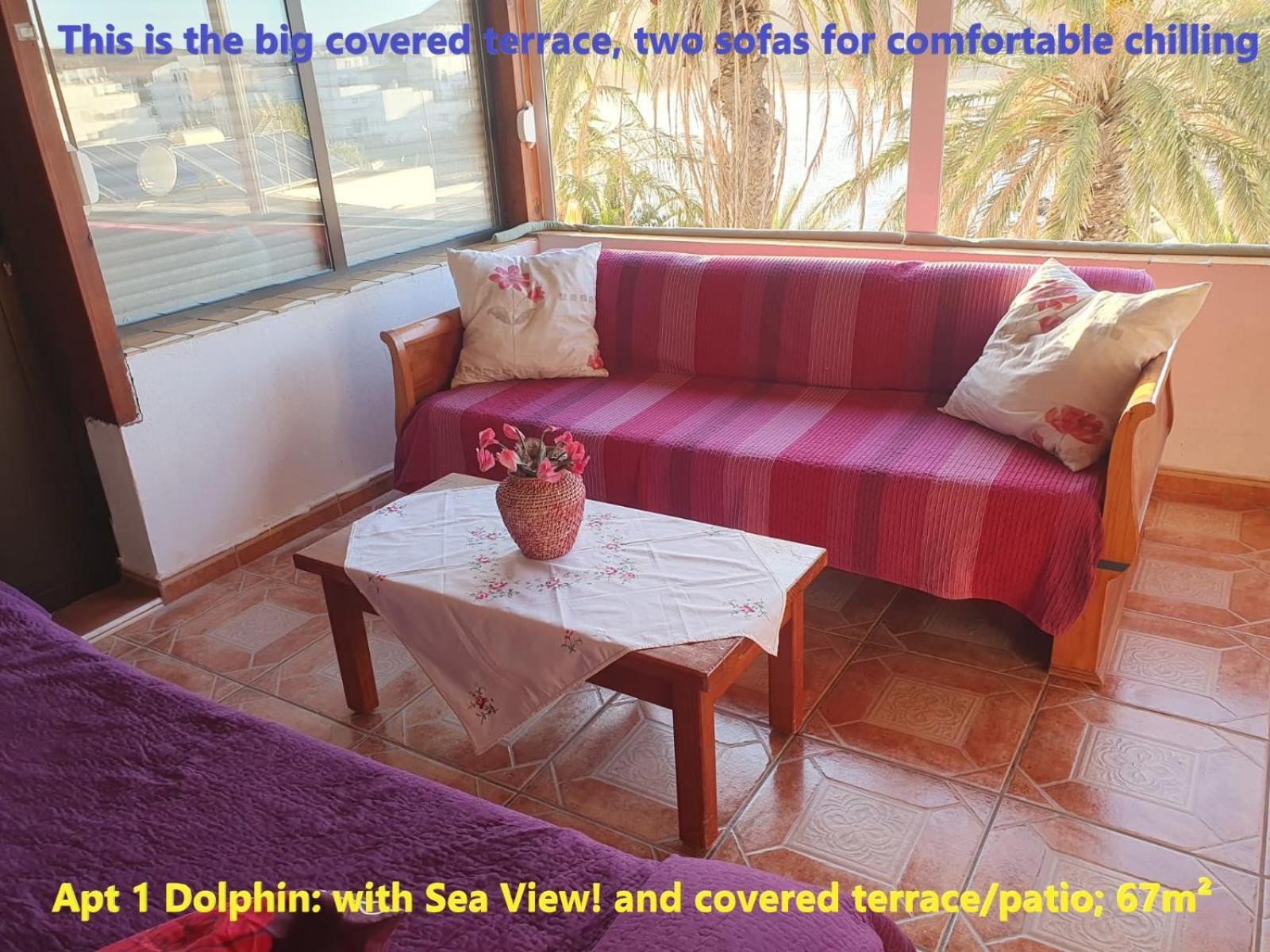 Casa Las Playitas -Clp- Best Sea View - In 1 Minute Ocean Las Playas エクステリア 写真